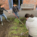 vergrößerte Bildansicht wird geöffnet