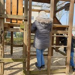 vergrößerte Bildansicht wird geöffnet