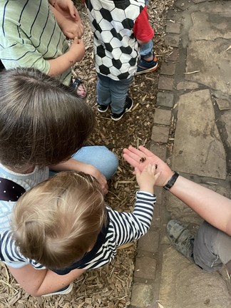 Kind mit Käfer auf der Hand