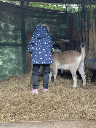 Ein Kind streichelt ein Tier im Stall